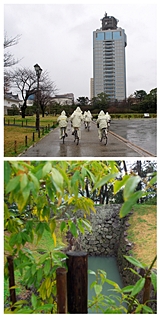 雨の駿府公園　