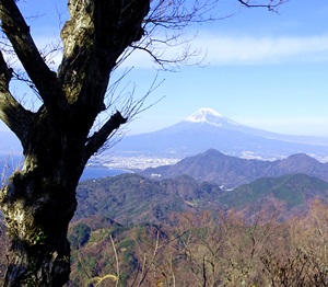 富士遠景